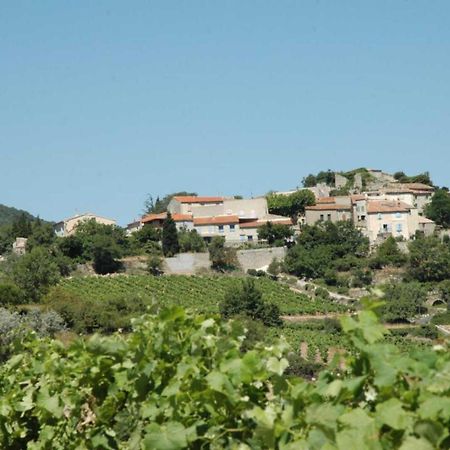 Cecile Villa Montgaillard  Exterior foto