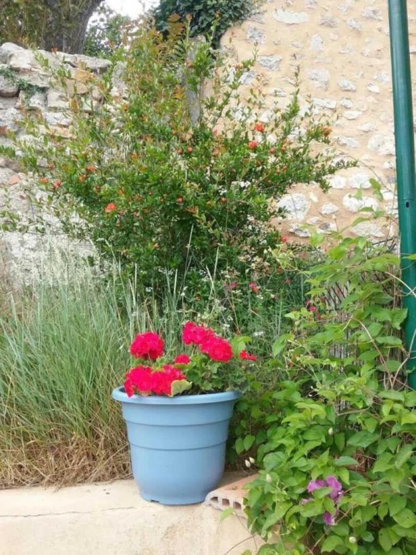 Cecile Villa Montgaillard  Exterior foto