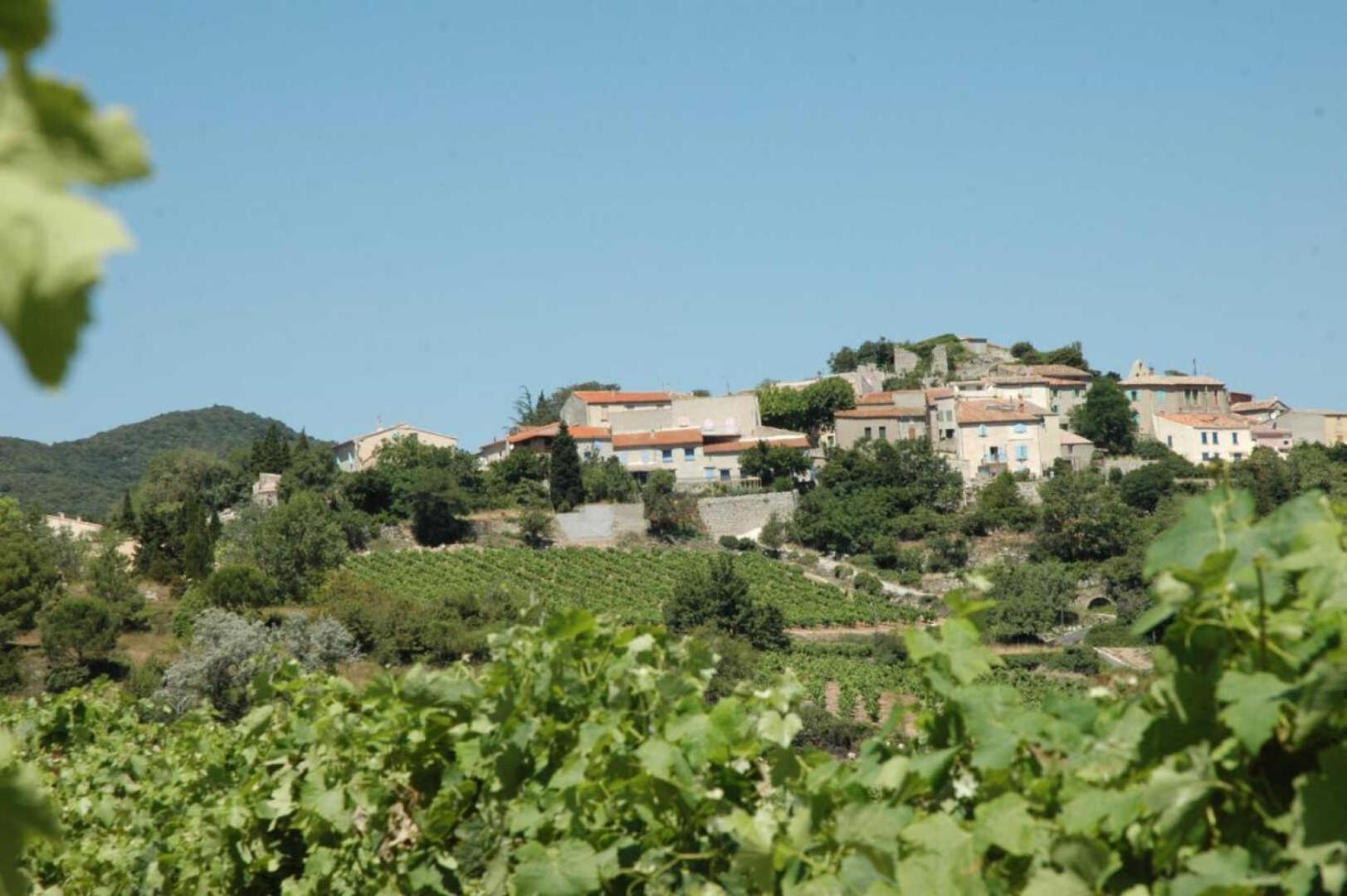 Cecile Villa Montgaillard  Exterior foto